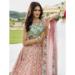 Picture of Beautiful Chiffon Pale Golden Rod Lehenga Choli