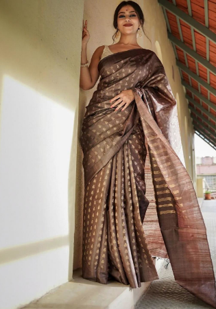 Picture of Classy Silk Rosy Brown Saree