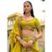 Picture of Appealing Silk Peru Lehenga Choli