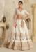 Picture of Lovely Silk Tan Lehenga Choli