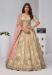 Picture of Delightful Tan Lehenga Choli