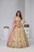 Picture of Delightful Tan Lehenga Choli
