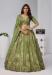 Picture of Statuesque Dark Khaki Lehenga Choli