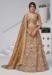 Picture of Stunning Organza Sienna Lehenga Choli
