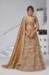 Picture of Stunning Organza Sienna Lehenga Choli