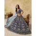 Picture of Gorgeous Silk Dark Slate Grey Lehenga Choli