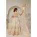 Picture of Superb Silk Tan Lehenga Choli