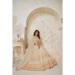 Picture of Superb Silk Tan Lehenga Choli
