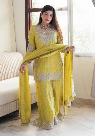 Picture of Chiffon & Silk Khaki Readymade Salwar Kameez