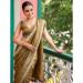 Picture of Magnificent Silk Saddle Brown Saree