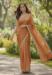 Picture of Amazing Chiffon Sienna Saree