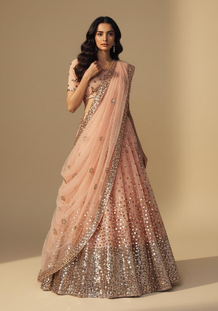 Picture of Statuesque Net & Silk Tan Lehenga Choli