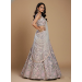 Picture of Resplendent Net & Satin & Silk Silver Lehenga Choli