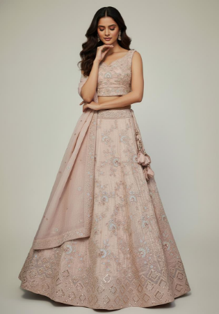 Picture of Chiffon & Net & Organza Rosy Brown Lehenga Choli