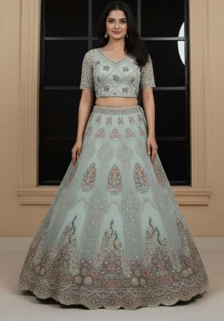 Picture of Excellent Net Powder Blue Lehenga Choli