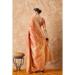 Picture of Magnificent Silk Peru Saree