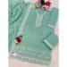 Picture of Medium Spring Green Straight Cut Salwar Kameez