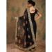 Picture of Classy Net Black Saree