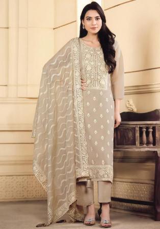 Picture of Fine Organza Gainsboro Straight Cut Salwar Kameez