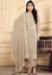 Picture of Fine Organza Gainsboro Straight Cut Salwar Kameez