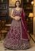 Picture of Radiant Net Saddle Brown Lehenga Choli