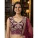 Picture of Radiant Net Saddle Brown Lehenga Choli