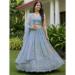 Picture of Radiant Net Light Steel Blue Lehenga Choli