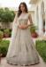 Picture of Grand Net Off White Lehenga Choli