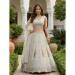 Picture of Grand Net Off White Lehenga Choli