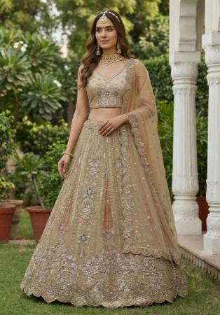 Picture of Pretty Net Bisque Lehenga Choli