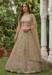 Picture of Pretty Net Bisque Lehenga Choli