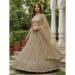 Picture of Pretty Net Bisque Lehenga Choli