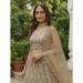 Picture of Pretty Net Bisque Lehenga Choli