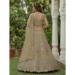 Picture of Pretty Net Bisque Lehenga Choli
