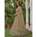 Picture of Pretty Net Bisque Lehenga Choli