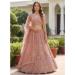 Picture of Sublime Net Indian Red Lehenga Choli