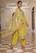 Picture of Taking Silk Peru Readymade Salwar Kameez