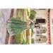 Picture of Radiant Silk Dark Olive Green Lehenga Choli