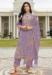 Picture of Elegant Cotton Plum Straight Cut Salwar Kameez