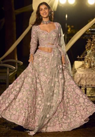 Picture of Stunning Net Tan Lehenga Choli