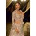Picture of Stunning Net Tan Lehenga Choli