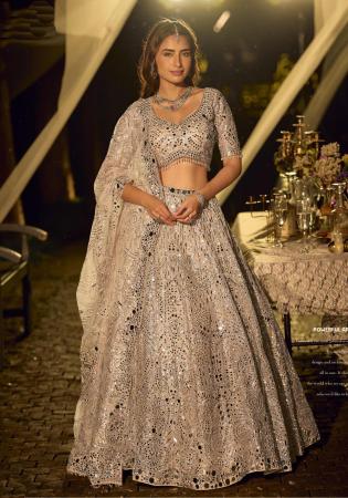 Picture of Gorgeous Net Khaki Lehenga Choli