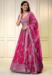 Picture of Sublime Organza Thistle Lehenga Choli