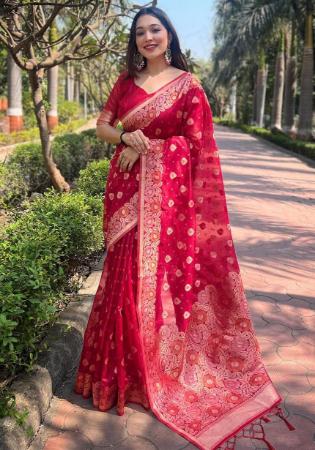 Picture of Enticing Organza Thistle Saree