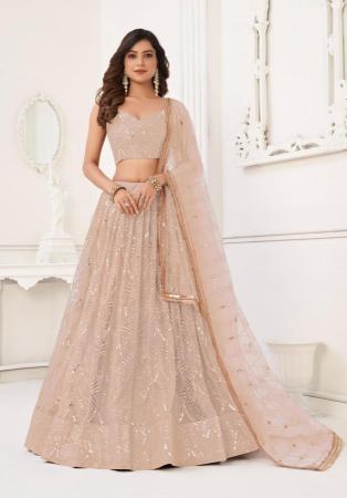 Picture of Classy Net Tan Lehenga Choli