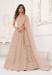 Picture of Classy Net Tan Lehenga Choli