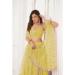 Picture of Pleasing Net Peru Lehenga Choli