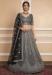 Picture of Amazing Net Grey Lehenga Choli
