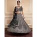 Picture of Amazing Net Grey Lehenga Choli