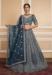 Picture of Gorgeous Net Slate Grey Lehenga Choli